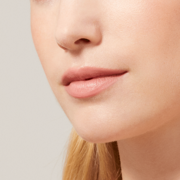 BARRA DE LABIOS SATINADA - Le Rouge à Lèvres FINI SATINÉ