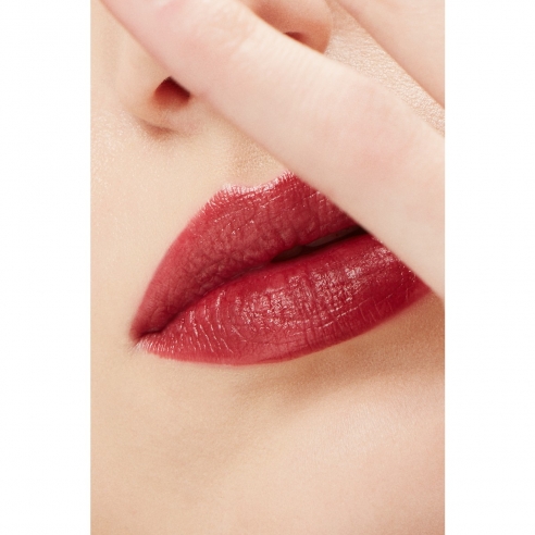 Lápiz labial mate - LE PUR MAT